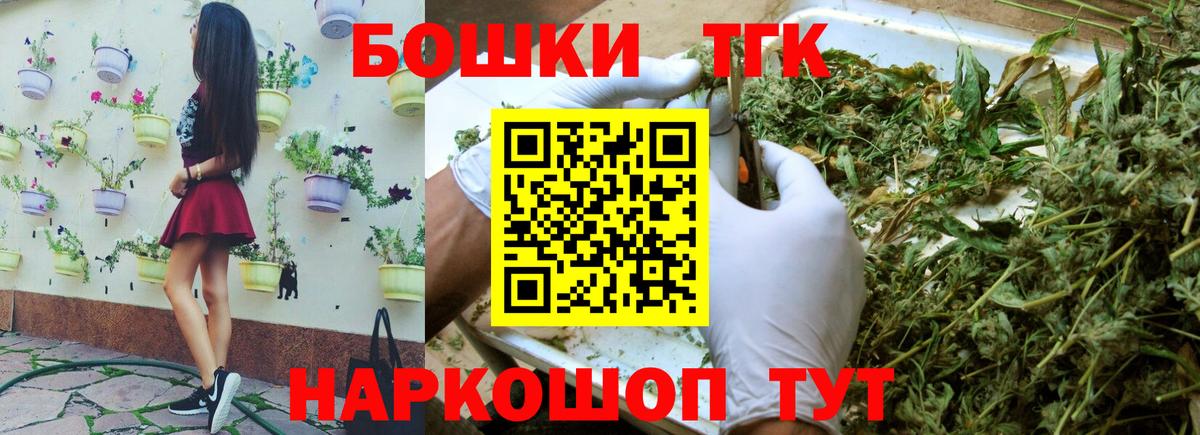 Бошки Шишки планчик Котельники